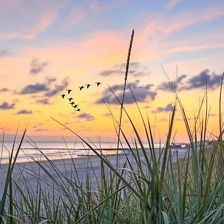 Meeresstrand * آلتنكيرشن